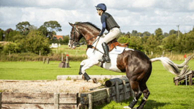 How Can Riders and Horses Prepare for the Cross-Country Phase of Eventing?