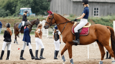 What are the key techniques for successful show jumping?