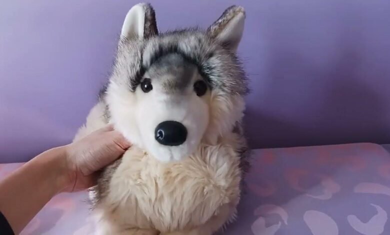 How to Choose a High-Quality Wolf Plush from the Cutest Stuffed Animals Available