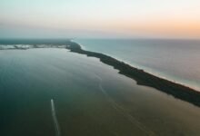 zixyurevay safety concerns revealed