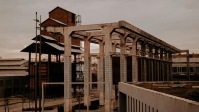 industry growth strategy overview