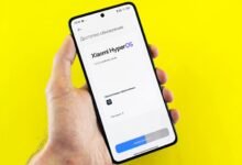 sapiosexual insights and updates