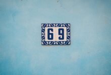 seattle sports online contacts