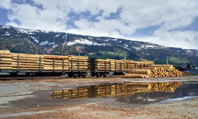 user activity and logs