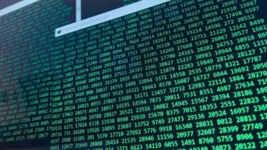 phone numbers for user record validation