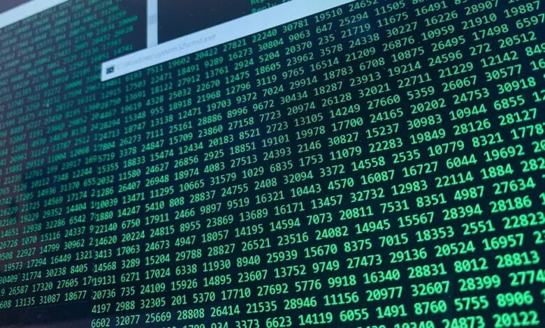 phone numbers for user record validation