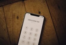 phone numbers listed for web domain analysis
