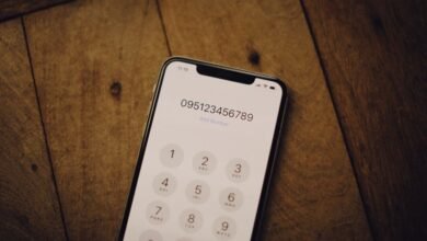 phone numbers listed for caller search