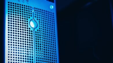registry numbers review database lookup