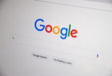 registry search results specific ids listed
